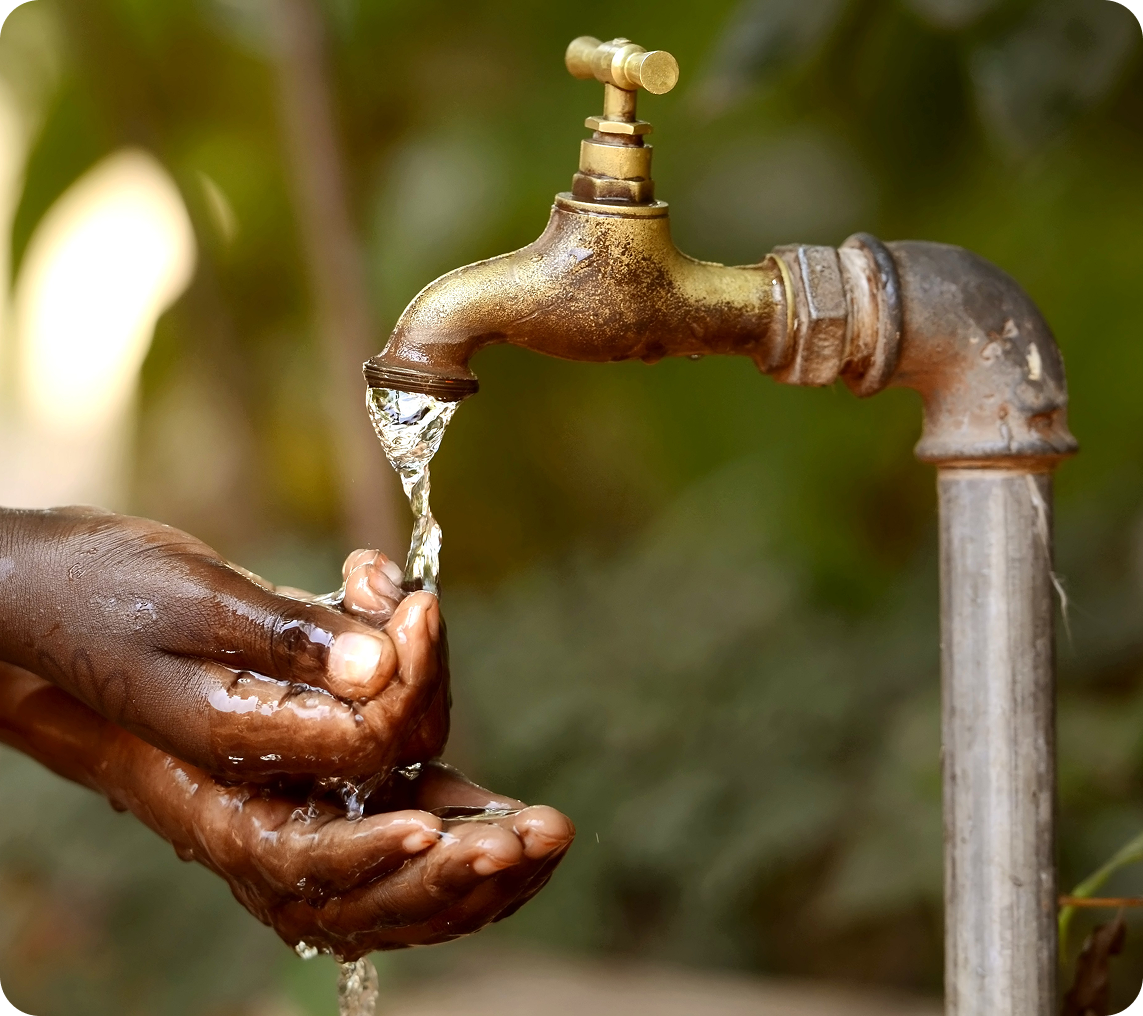Hands washing under a running outdoor faucet.